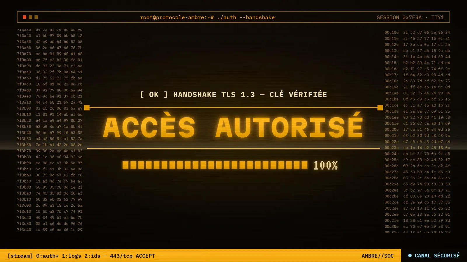 Image clé de la transition : « Accès autorisé » en grandes lettres ambre, barre de progression à 100 %.